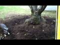 videos de misc