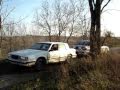 CRAZYCARCLUB does skyhill and strap on demo derby LOL