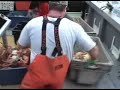 Cape Breton Snow Crab