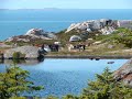 skudeneshavn hagland haugesund