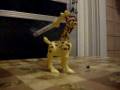 videos de girafa fumeaza