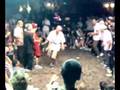 videos de poly, white, gama, pickup vs style vision