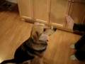 Inara Stays with Bone on Nose