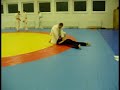 Ju Jutsu