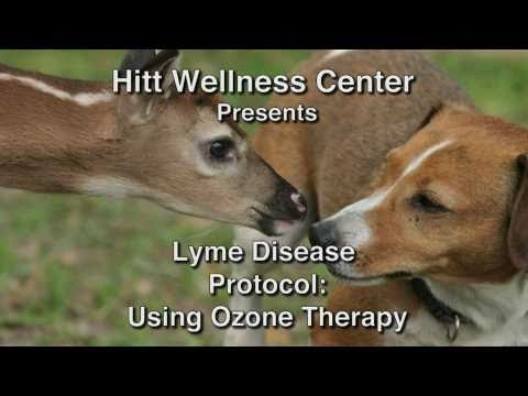 how to treat lyme disease in humans