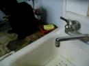 Morgaine on the Counter