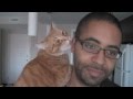 CUTEST CAT LOVES PIZZA BOX!