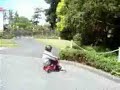 Insane Tricycle Wreck