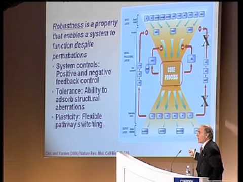 how to measure nf-kb