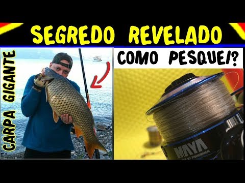 Como PESCAR uma CARPA GIGANTE e Tralha Utilizada na Pescaria