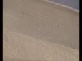 videos de fun race iquique 2008