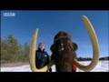 Evolution of the woolly mammoth - BBC science