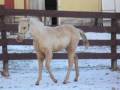 videos de Zan Parr Sun X Charm Eyed Jackie 2008