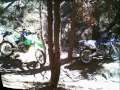 videos de bean canyon junk yard