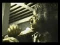 S�rgio Sampaio - Cabras pastando