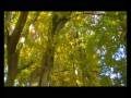 videos de Rafał_i_Agata.wmv