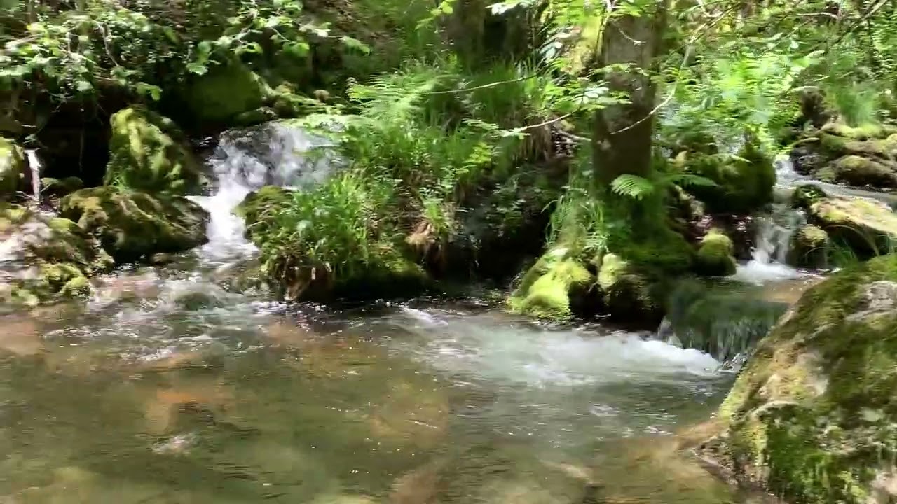 La cascada y el río II