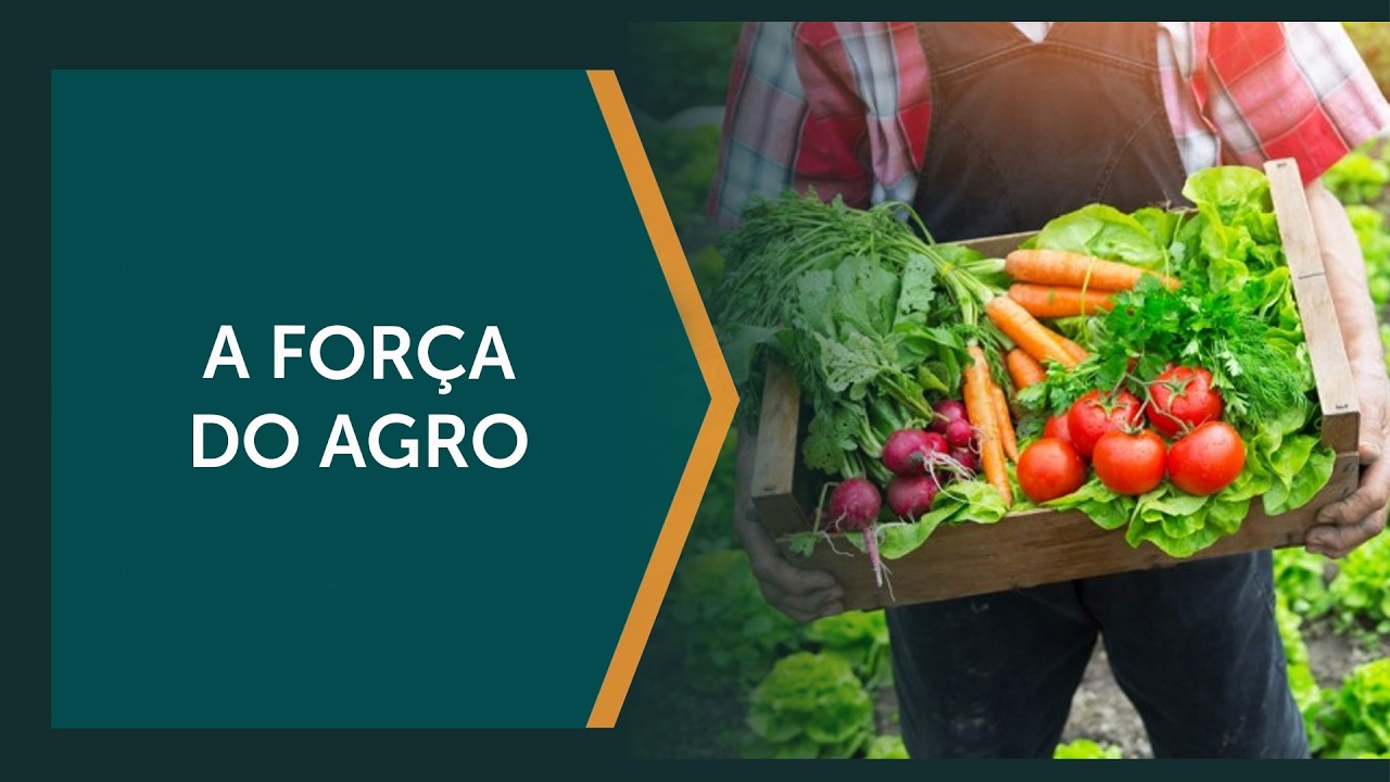 Frente Parlamentar luta pela integridade do agro brasileiro