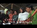 Reforestation Indon�sie