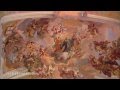 Vienna, Austria: The Danube and Melk Abbey