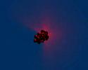 Array+Volumetric Light Array+Volumetric Light