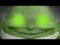 THE FACE OF DEATH