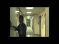 videos de Brahiemian fight