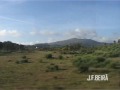 Junta de Freguesia da Beirã - Marvão 04 - A Estação da Beirã