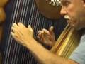 The Harp Channel-Stewball