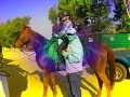 Norco Gymkhana Fun