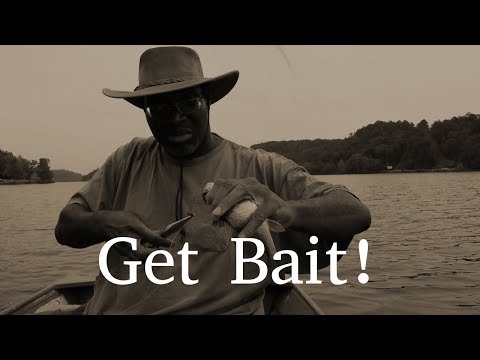 How to Catch Blue Catfish in a River How to Catch Blue Catfish in a River
