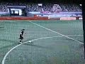 trezegol