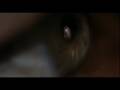 Trois Couleurs Bleu finale - Three Colors Blue Trois couleurs Bleu - Juliette Binoche - Flixster Video