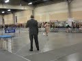 Tiptondownandback.AVI