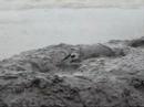Mud volcano, North Island, NZ
