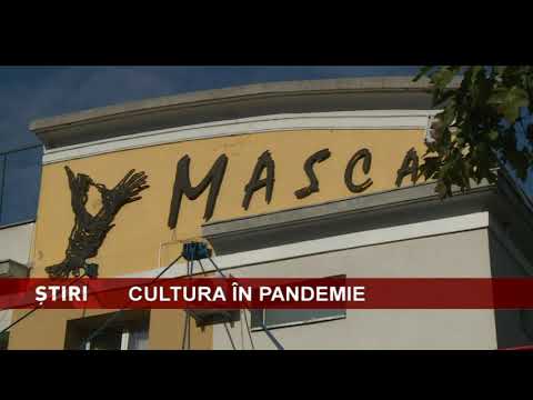 Mai puțini vizitatori în muzee, mai puține spectacole