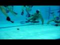 videos de Underwater Hockey training in Portugal