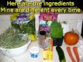 make your own tortoise food  