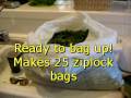 make your own tortoise food  