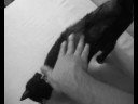 Scratch me for real