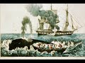 Ahab:  The Hunt (part 2)