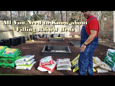 video-linktoworks-Counting the cost - All You Need to Know About Filling...