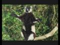 GREEN_FEST_tv.mov