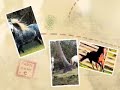 Horse Contest! (Results Are Up!) Horse Contest! (Results Are Up!)