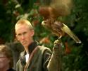 Roofvogels kijken en pannenkoeken eten Den Hout