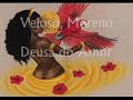 veloso moreno   deusa do amor