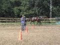 AQHA hunter under saddle - Mitos Smoky Doc AQHA hunter under saddle - Mitos Smoky Doc
