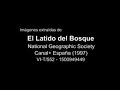 la eclosión de la culebra de herradura