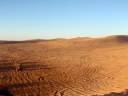 little sahara 2 little sahara 2