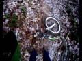 Mushing Training crash 2009